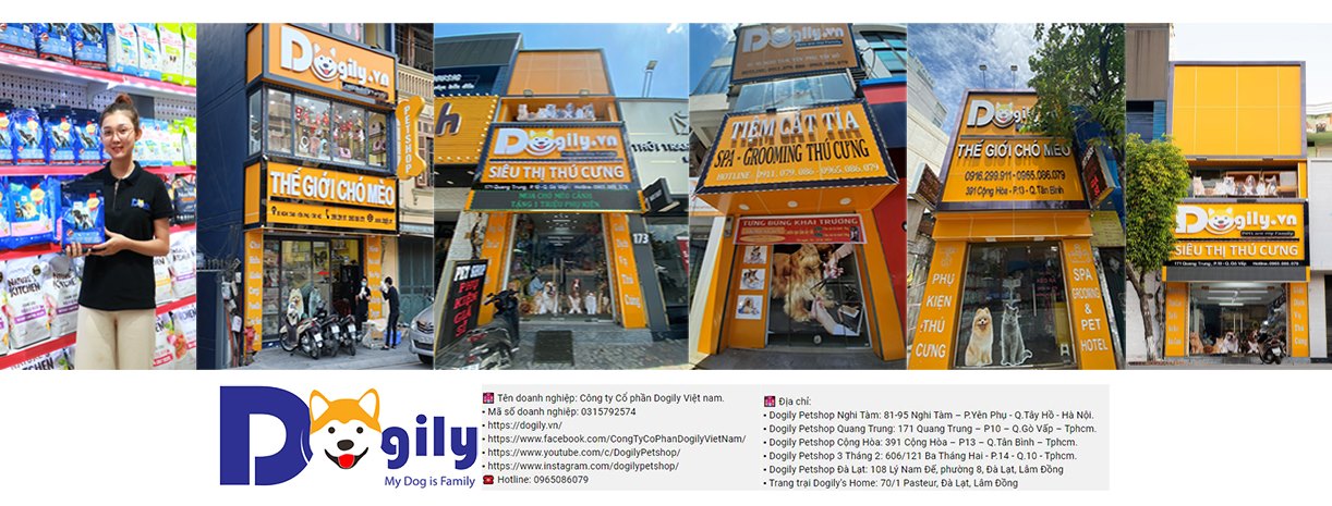 Hình ảnh cửa hàng của Dogily Cattery