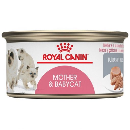 Pate Cho Mèo Royal Canin Mother & Babycat Ultra Soft Mousse
