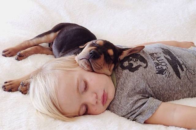 chó ngủ chung với trẻ em